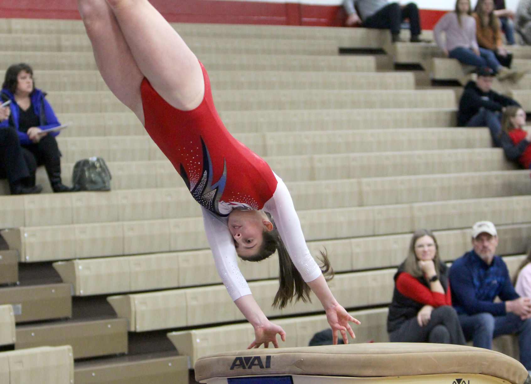 Chi-Hi Gymnastics Triangular 1-17-19